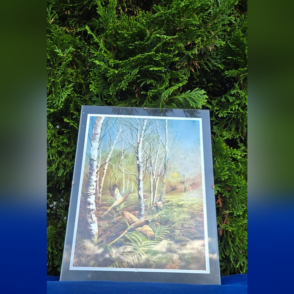 Vintage German Foil Print of Forest Scene with Pheasants in Flight